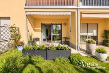 Helle 3-Zimmer-Erdgeschoss-Wohnung mit Terrasse im Ortskern von Schöneiche Wohnung mieten 15566 Schöneiche bei Berlin Bild klein