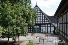 Historisches und vielseitig nutzbares Hofgebäude im Ortskern von Schledehausen nahe Osnabrück Gewerbe kaufen 49143 Bissendorf Bild klein