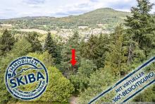 Idyllische Alleinlage: Wochenendhaus inmitten der Natur oberhalb von Antweiler/Ahr Haus kaufen 53533 Antweiler Bild klein