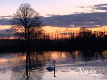 Ihr Leben auf dem Wasser ist ganz nah - Hausboot mit Liegeplatz in Liebenwalde zu verkaufen Haus kaufen 16559 Liebenwalde Bild klein
