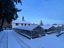  Ihr neues Projekt wartet mitten in Aken mit großem Grundstück mit Einfamilienhaus Haus kaufen 06385 Aken (Elbe) Bild klein