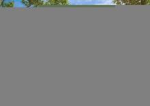 Innerstädtische Baugrundstück - Geschoßwohnungsbeu - Wohnen - mit Altbestand Grundstück kaufen 09130 Chemnitz Bild klein