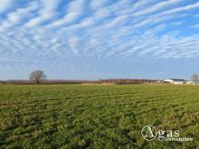 Landwirtschaftliche Nutzfläche in Plötzin Grundstück kaufen 14542 Werder (Havel) Bild klein