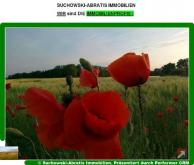 *** Landwirtschaftsflächen 4,0647 ha - pachtfrei *** Grundstück kaufen 14974 Ludwigsfelde Bild klein