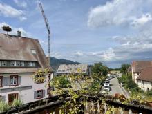 Liebhaber Immobilie - Historisches Mehrfamilienhaus Haus kaufen 79199 Kirchzarten Bild klein