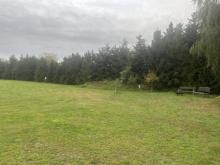 Modernes Design trifft alten Charme Haus kaufen 04931 Mühlberg (Landkreis Elbe-Elster) Bild klein