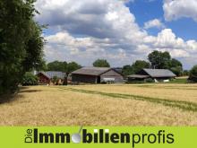 Nähe Hof: 1-2 Fam.Haus mit Scheune, Halle, Stall und Werkstatt Haus kaufen 95176 Konradsreuth Bild klein