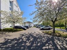 NEUBURG: MEHRFAMILIENHAUS 4380 m2 mit 28 Zimmer in Teileigentum 8 WE, ideal gelegen zwischen Wismar und Rostock, nur 10min bis zur Ostsee! Gewerbe kaufen 23974 Neuburg Bild klein