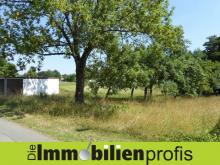 Nur 24 Euro/ m² ? Grundstück mit 2 Garagen Nähe Regnitzlosau Grundstück kaufen 95194 Regnitzlosau Bild klein