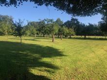 Obstgarten am Wörthsee: 5.462 m² eingezäuntes Freizeitgrundstück mit über 50 Obstbäumen! Grundstück kaufen 82266 Inning am Ammersee Bild klein