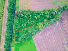 #RESERVIERT# Freizeitgrundstück mit Wald & Busch in Gölenkamp – Haftenkamp Grundstück kaufen 49843 Gölenkamp Bild klein