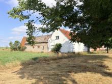 Resthof mit Ausbaupotential Haus kaufen 03253 Doberlug-Kirchhain Bild klein