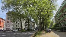 Ruhig zwischen Uni, Barbarossaplatz und Volksgarten - leerstehend mit STELLPLATZ (A384ms) Wohnung kaufen 50677 Köln Bild klein