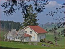 Ruhige, sonnige Waldrandlage mit Wasserquelle Haus kaufen 87496 Untrasried Bild klein