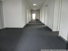 SCHÖNE BÜROFLÄCHE, 300 M², 11 RÄUME, IN DER "BERNER STRASSE" ZU VERMIETEN Gewerbe mieten 60437 Frankfurt am Main Bild klein