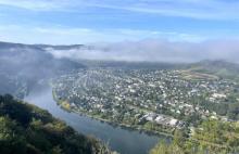 Schönstes und sonniges Baugrundstück im Stadtteil Trarbach mit 1.055 qm Grundstück kaufen 56841 Traben-Trarbach Bild klein