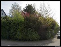 Tolles Baugrundstück in Bischmisheim Grundstück kaufen 66132 Saarbrücken Bild klein