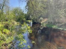 TOP-Campingplatz in Thüringen zu verkaufen - lukrative Vollexistenz in Thüringen nahe Rennsteig Gewerbe kaufen 99867 Gotha Bild klein