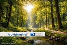 Traumhafter Bungalow für 1-2 Familien in ruhiger Lage von Mettmann-Metzkausen Haus kaufen 40822 Mettmann Bild klein