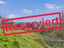 Traumhafter Talblick - großes Hanggrundstück mit Abrissobjekt, Wiesen- und Waldfläche in Scheuren Grundstück kaufen 53937 Schleiden Bild klein