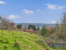Traumhafter Talblick - großes Hanggrundstück mit Abrissobjekt, Wiesen- und Waldfläche in Scheuren Grundstück kaufen 53937 Schleiden Bild klein