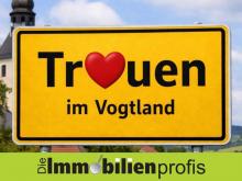 Treuen/Auerbach: Einfamilienhaus mit Garten Haus kaufen 08233 Treuen Bild klein