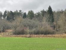 Verwildertes Freizeitgrundstück mit Bebauungsmöglichkeit - Teilweise erschlossen Grundstück kaufen 97645 Ostheim vor der Rhön Bild klein