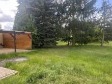 Viel Platz zum fairen Preis Haus kaufen 03253 Tröbitz Bild klein