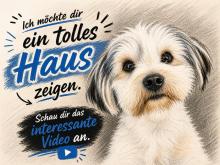 Warum bauen gerade jetzt so viele mit OKAL? Haus kaufen 34327 Körle Bild klein