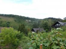 Wohnen am Tor zur Mittelmosel mit Blick in die Natur Grundstück kaufen 56859 Bullay Bild klein