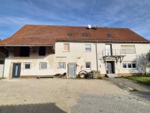 Wohnen, Arbeiten, Vermieten - alles unter einem Dach in Scharenstetten! Haus kaufen 89160 Dornstadt Bild klein