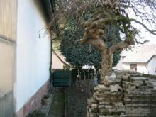 Wohnen und Arbeiten in Ihrer Immobilie!
EFH mit Gewerbeanteile Haus kaufen 76316 Malsch Bild klein