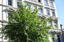 Wohnung mit 3,5 Zimmern in Harvestehude Wohnung kaufen 20149 Hamburg Bild klein