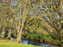 Zuhause statt einfach nur Immobilie – gepflegtes Reihenhaus mit idyllischem Garten an der Mühlenau Haus kaufen 25462 Rellingen Bild klein