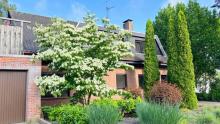 Zweiparteienhaus mit Garten und Doppelgarage in Neuenhaus Haus kaufen 49828 Neuenhaus Bild klein