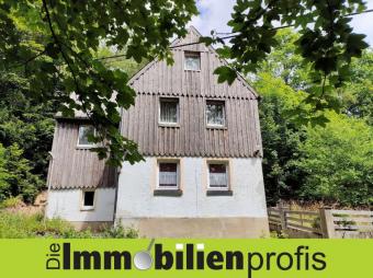 1109 - Feriendomizil: Charmantes Einfamilienhaus im Frankenwald Haus kaufen 95131 Schwarzenbach am Wald Bild mittel