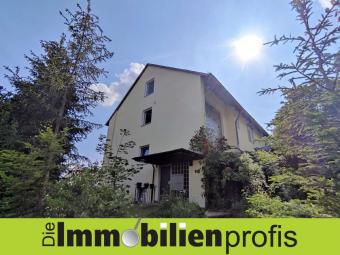 1191 - Dreifamilienhaus in Bestlage: Selbst einziehen und/oder vermieten Gewerbe kaufen 95032 Hof Bild mittel