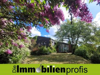 1346 - 2 km von Hof: Extravagantes Architektenhaus mit 3.000 m² Grundstück Haus kaufen 95183 Feilitzsch Bild mittel