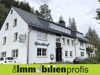 1375 - Nähe Bad Steben: Preisschnäppchen mit 650 m² Nutzfläche und großem Grundstück Gewerbe kaufen 95179 Geroldsgrün Bild mittel