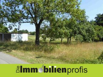 1654 - Nur 24 Euro/ m² ? Grundstück mit 2 Garagen Nähe Regnitzlosau Grundstück kaufen 95194 Regnitzlosau Bild mittel