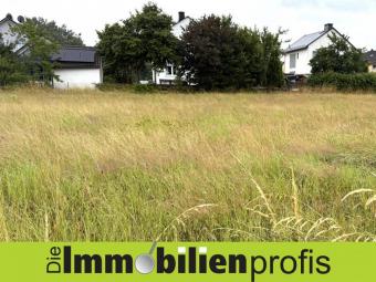 1698 - Schönes Baugrundstück am Fuße des Waldsteins Grundstück kaufen 95234 Sparneck Bild mittel