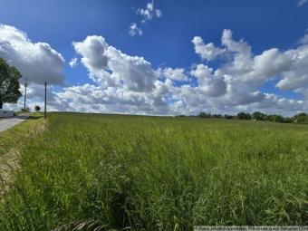 2 schöne ebene Grundstücke in Taura... ca. 36m x 27m Grundstück kaufen 09249 Taura Bild mittel