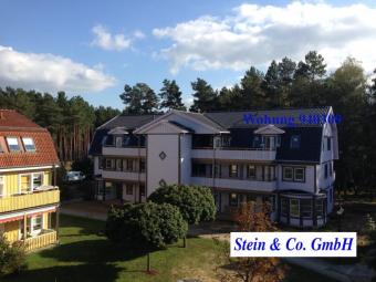 28.02. Besichtigung - neue Wohnung mit EBK sucht neuen Investor Wohnung kaufen 14822 Borkwalde Bild mittel