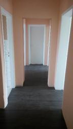 3 Raum Wohnung Wohnung mieten 19246 Kogel Bild mittel