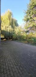 3.874 qm in Aken - ein Grundstück, das nach einem Bauträger ruft, nicht nach einem Heimwerker. Gewerbe kaufen 06385 Aken (Elbe) Bild mittel