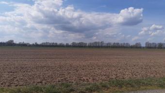 63,9 ha Acker- und Waldflächen in Trebitz und Brück Grundstück kaufen 14822 Brück Bild mittel