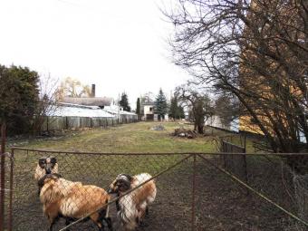 Attraktives Baugrundstück in Aken (Elbe) Ihre Chance für ein neues Projekt Grundstück kaufen 06385 Aken (Elbe) Bild mittel