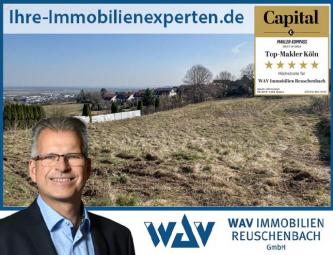 Attraktives Grundstück mit Entwicklungspotenzial in Bornheim-Hemmerich Grundstück kaufen 53332 Bornheim (Rhein-Sieg-Kreis) Bild mittel