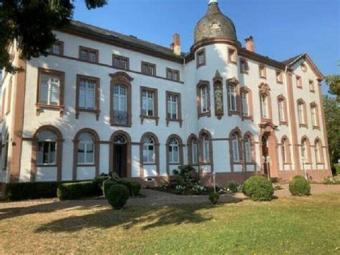 Ayl a.d. Saar- modernes Wohnen in exklusivem Ambiente - 1 Zimmer Apartment in Schloß Ayl Wohnung mieten 54441 Ayl Bild mittel