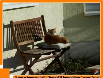 Barrierefreier Bungalow in grüner Ortsrandlage Haus 53913 Swisttal Bild mittel